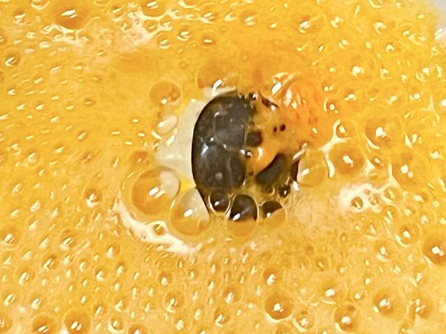 ラスト3つ目！この茶色い頭はラインナップにはないあのキャラ？！