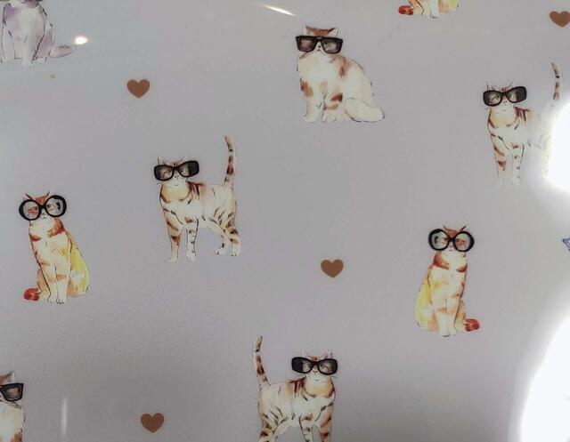 クリアファイルの表面のイラスト