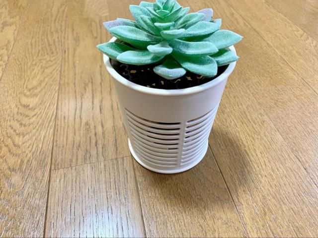 【バルサン 虫こないもん（プランツ）】電力不要でお手入れ簡単