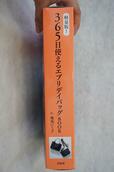 【軽量版！365日使えるエブリデイバッグBOOK by地曳いく子】厚みのあるMOOK本