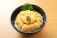 むらかみの生うに丼