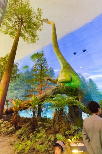 関東から 福井県立恐竜博物館 への行き方ベストは 車 電車 飛行機を徹底比較 1 3 ハピママ