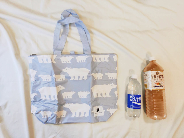 『素敵なあの人』7月号付録「ベングト＆ロッタの大容量バッグ」隣にペットボトルを置いて、サイズ感を確認してみた