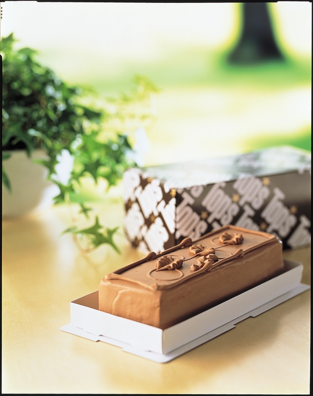 【トップス】チョコレートケーキレギュラー