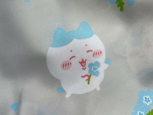 花占いをしているハチワレがかわいすぎ！