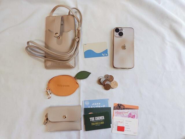 携帯、ICカード、小銭、ポイントカードが5枚入った