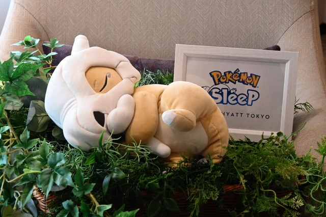 カラカラぬいぐるみ