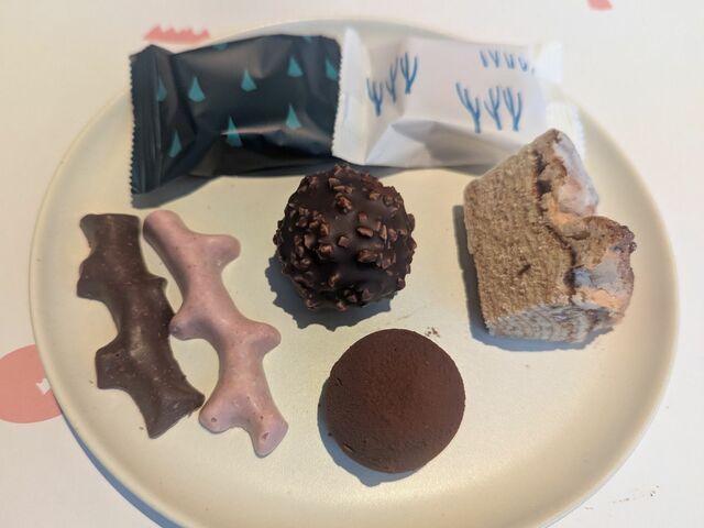 【SNOWS（スノー）】2025バレンタイン商品試食用