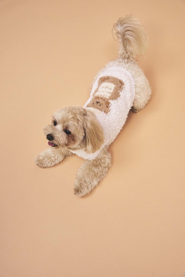 【GELATO PIQUE CAT＆DOG（ジェラート ピケ キャット＆ドッグ）】ジェラートモチーフジャガードプルオーバー：5,280円（税込）