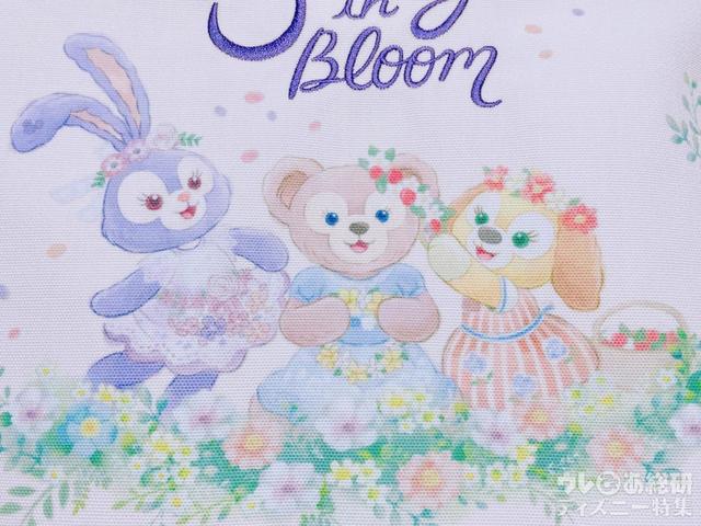 ロマンチックな女の子たち