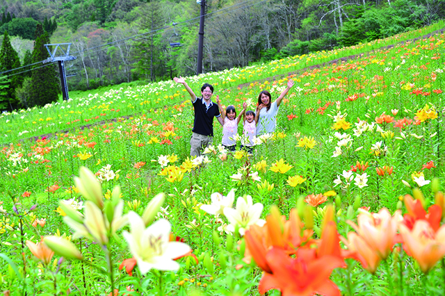 タングラム斑尾 ゆり園