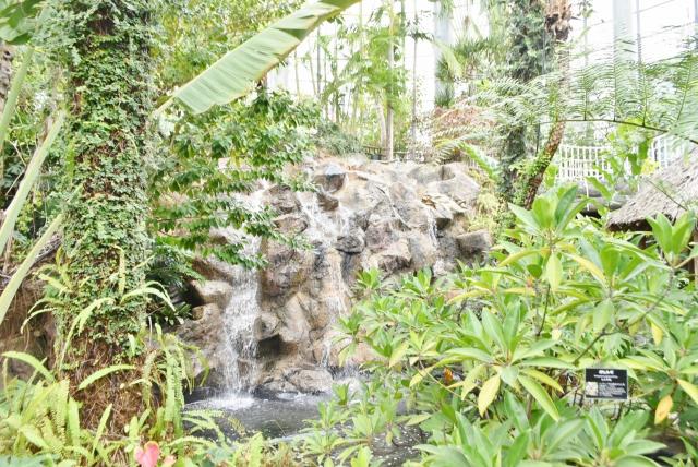 【small planet CAMP & GRILL】滝の流れる音にいやされます