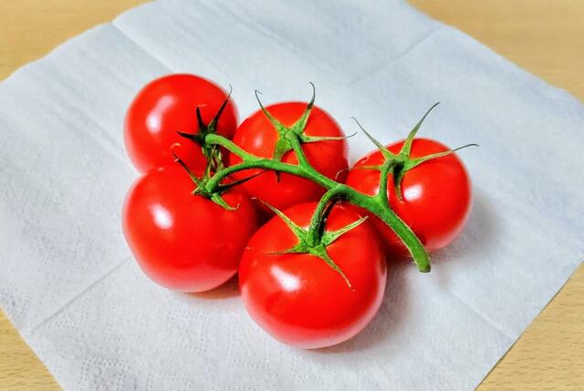 【コストコ　房付きトマト　3kg　1998円】サイズは一般的なトマトよりもひと回り小さい