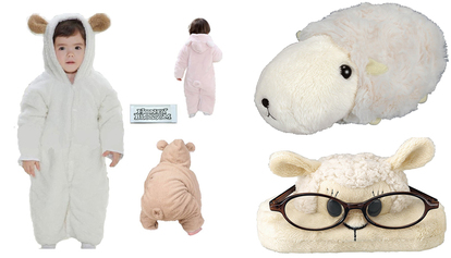 img_dae7157b29894206744eb601f5