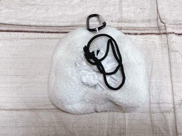 ポーチの中に収納!