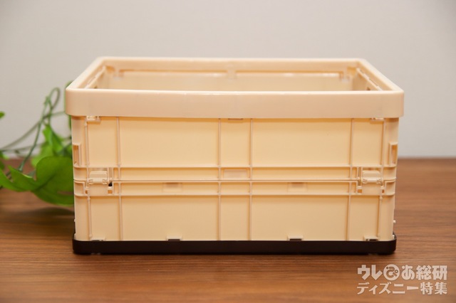 『InRed 2022年5月号』特別付録「ミッキーマウスデザインサーフ柄が可愛い!片づくコンテナBOX」