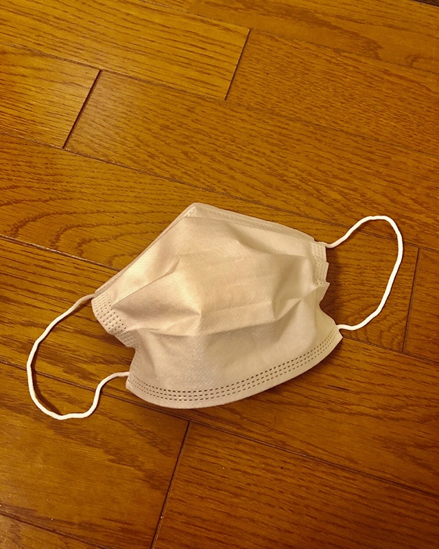 3層構造フィルター不織布マスク 50枚入り