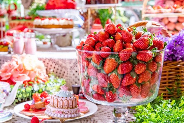 『RSVP.アリスからの招待状』