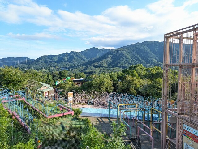 【さがみ湖MORI MORI】アスレチック「ピカソのタマゴ」からの景色