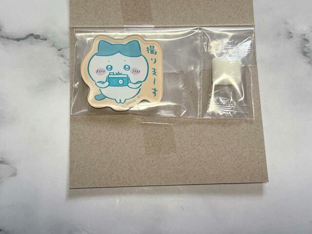 4．ハチワレ（撮りま～す）でした！