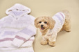 【GELATO PIQUE CAT＆DOG（ジェラート ピケ キャット＆ドッグ）】（右）ジェラートランダムボーダーフーディー（イヌ用）：5,280円（税込）／（左）ジェラートランダムボーダーパーカー（レディース）：7,480円（税込）
