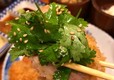 とんかつ専用「和」パクチー