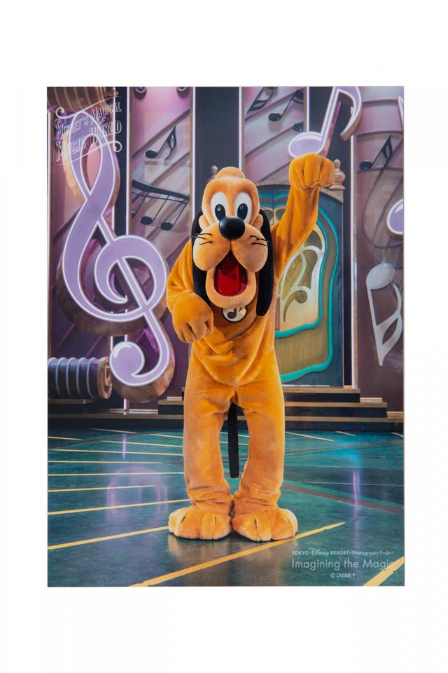 写真 500円|サイズ:縦約18×横約13cm、2Lサイズ|Imagining the Magic「ミッキーのマジカルミュージックワールド」|販売店舗:東京ディズニーランド「ビレッジショップス」