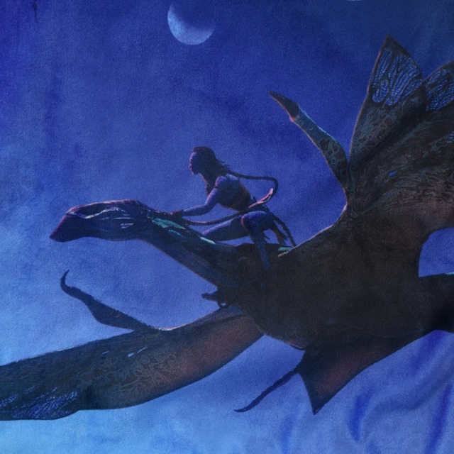 パンドラ：ザ・ワールド・オブ・アバター ブランケット 大判 4,620円