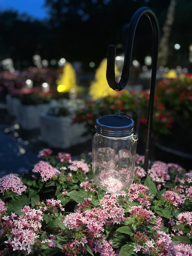 【府中の森公園】太陽光で充電される「ソネングラス」も美しい