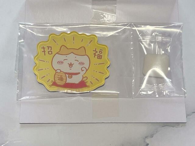 1番狙いの2番「ハチワレ(招福)」がきてくれました!