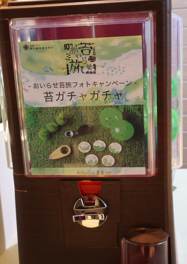 苔ガチャも館内で楽しめます