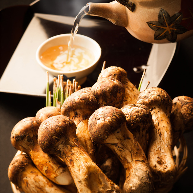 GOURNERGY in SATSUKI