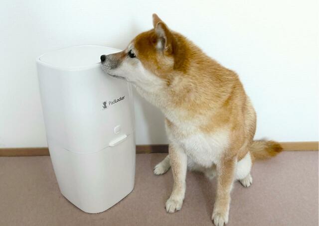 【パッドロッカー】犬が嗅いでも臭わない？