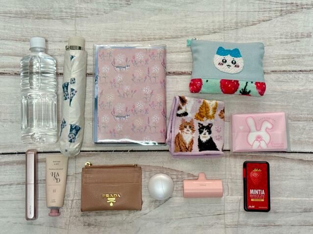 これだけのものが収納できました！