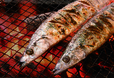 生さんまの炭火焼き