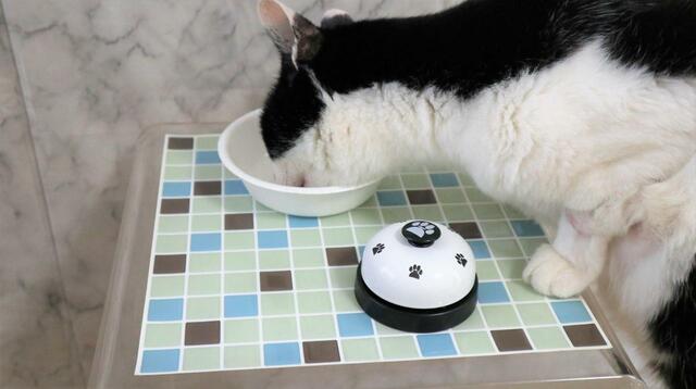 【ペット用コールベル】「何だかわからないけどおやつが食べられる！」と前のめり