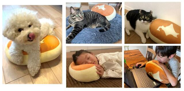 その心地よさに、ペットちゃんも夢中♪