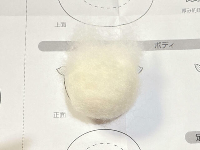 ボディが完成！