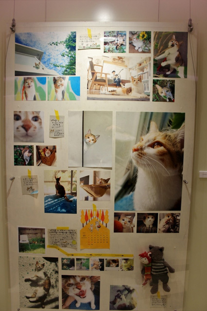 可愛くてキュンキュンする「吉祥寺ねこ祭り」の猫たち