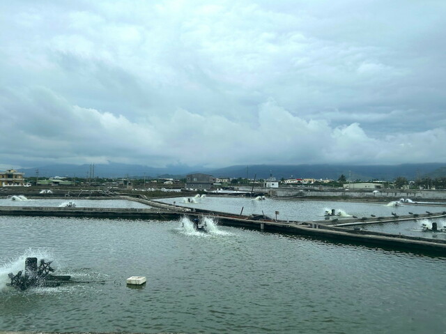 台湾南部を走っていると魚の養殖場が目立ってくる。ここで育った魚やエビが台湾全土に供給される