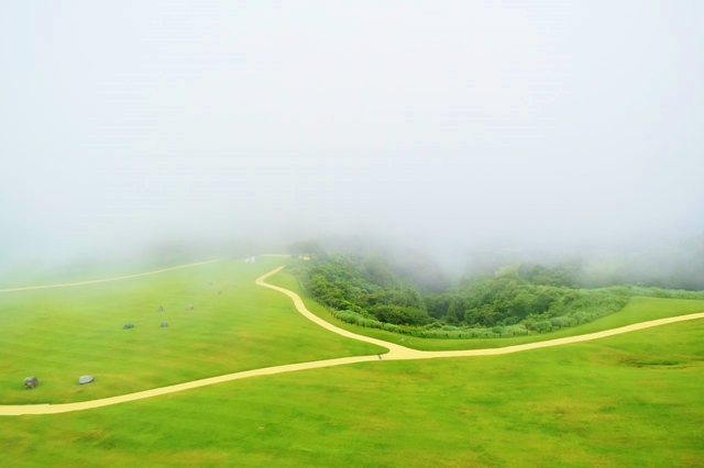 キリもまた幻想的で素敵