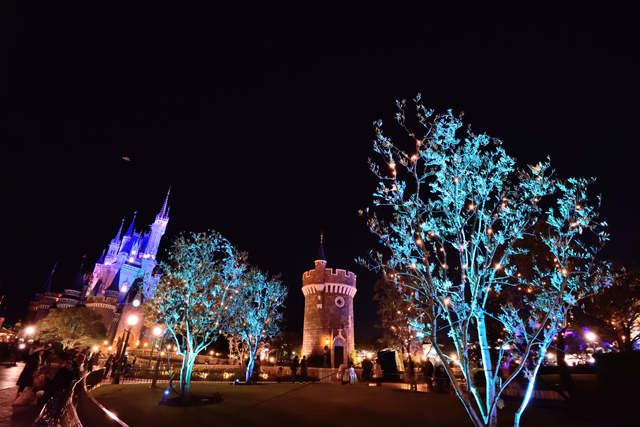 プラザのライトアップ、木々の雪の結晶が昼間とは違う印象でキラキラと光ります ©Disney