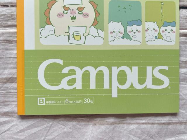 シーサーらしいグリーンとオレンジの配色がキュート！