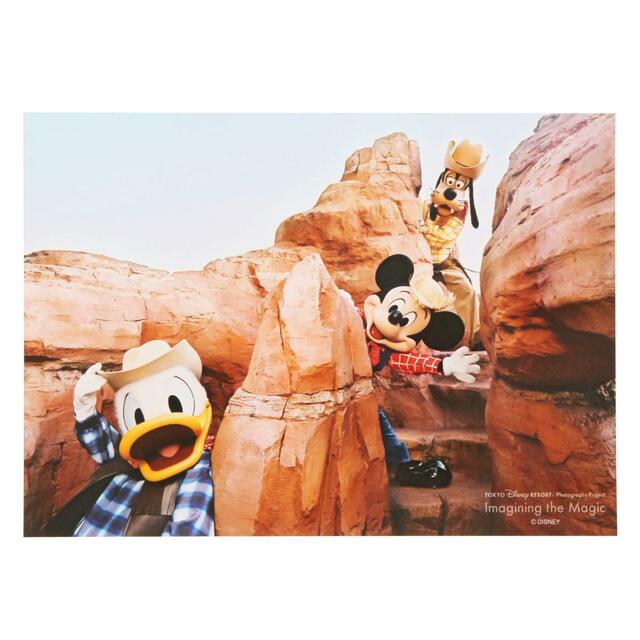 写真 500円|東京ディズニーリゾート・フォトグラフィープロジェクト「イマジニング・ザ・マジック」第2弾グッズ|東京ディズニーリゾート40周年“ドリームゴーラウンド”|発売日:2023年12月7日(木)|販売店舗:東京ディズニーランド「グランドエンポーリアム」、東京ディズニーシー「ヴァレンティーナズ・スウィート」