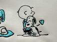 チャーリー・ブラウンに熱烈なハグをするスヌーピーが愛らしい♪