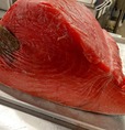 「​​​数量限定 本マグロ」＜期間：2026年5⽉25日〜＞【話題の「漁港食堂 三方」が、多摩センター駅にオープン！ランチは本マグロを含む豪華刺身が60分間食べ放題！ハイボール・レモンサワーは税込198円！】