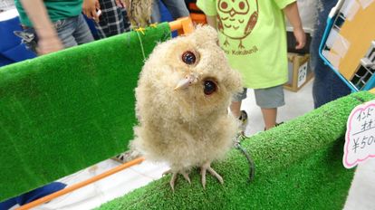 写真満載 ミミズクの赤ちゃんが可愛すぎ エキゾチックアニマル 展示即売会に行ってみた 2 4 ウレぴあ総研