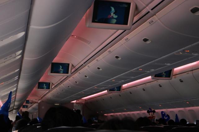 JAL DREAM EXPRESS FANTASIA 80」就航記念周遊フライト