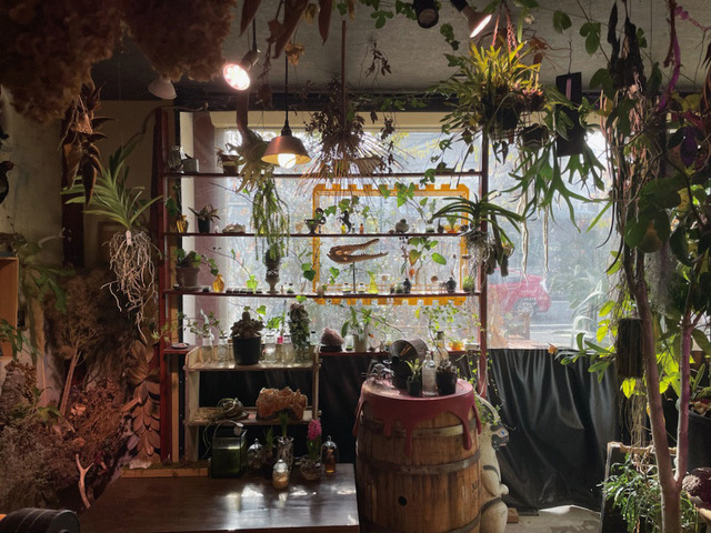 秘密基地植物園とカフェバー