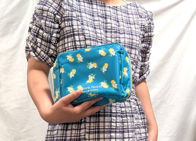 付録「Flora Notis JILL STUART ビッグコスメポーチ」持ち運びしやすいサイズ感